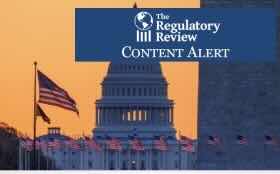 Top Contributor Essays of 2025