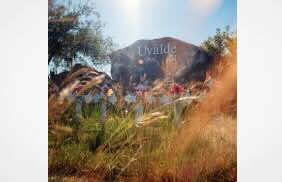 Ex-Uvalde officer found not guilty of endangering children in mass shooting