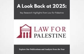 Palestine's Legal Scene Report : Research and Discourse: 2025 in Review