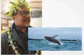 New Zealand: Conservation A law for the tohor?: New Zealand bill seeks personhood for whales
