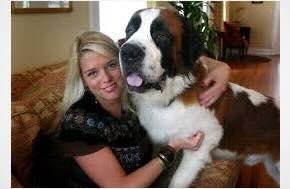 Attorney General Bondi Announces Department of Justice Prioritization of Animal Welfare Enforcement