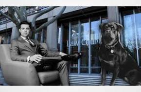 Australian lawyer Dominic Green, accused his former executive assistant (EA) of numerous employment agreement breaches, including a failure to take care of his dog “in the manner allegedly agreed” while he was on holiday.