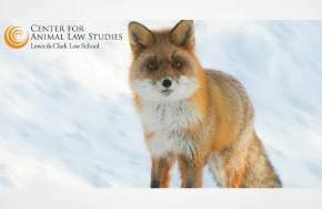 Winter Newsletter Updates