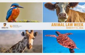 Animal Law Week @ Lewis & Clark "annual tradition where the Lewis & Clark Animal Legal Defense Fund Student Chapter hosts dynamic speakers, presentations, and networking opportunities to showcase the future of the field."