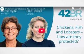 Webinar - Chickens, Fish and Lobsters - how are they protected?