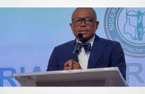 Nigerian Bar Association Knocks Ofili-Ajumogobia, Nwogu For Detaining Lawyers
