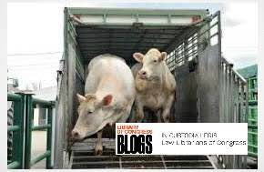 Law Library Publishes New Report on the Protection of Livestock During Transport March 25, 2026