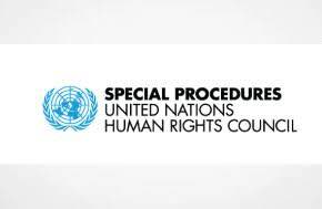 UN experts urge Türkiye to end criminalisation of human rights defenders and lawyers