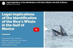 National Sea Grant Law Center -  Legal Implications of the Identification of the Rice's Whale in the Gulf of Mexico