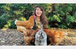 This Harvard-trained lawyer fights for the rights of chickens