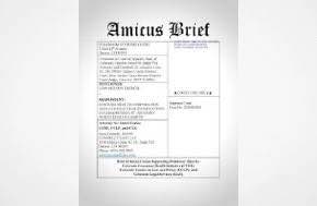 38 state AGs sign amicus brief supporting Mass. in Kalshi lawsuit