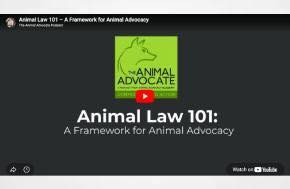 Animal Law 101 – A Framework for Animal Advocacy