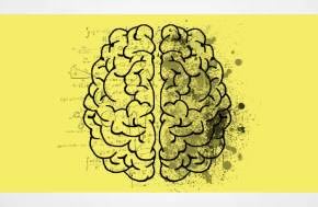 Inside Practice Briefings  - Building neuro-inclusive cultures, systems, and performance strategies for the modern legal profession.