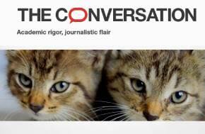 Legal categories for animals still divide — and limit — animal rights
