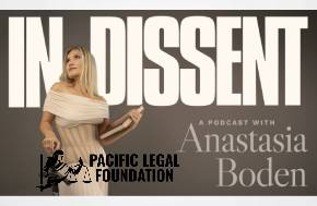New Podcast: In Dissent hosted by Anastasia Boden