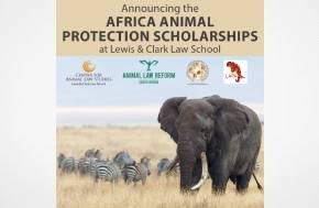Apply by June 1st for the Animal Law LLM and MSL Programs Full Scholarships Available