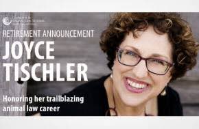 USA: "Mother of Animal Law, Professor Joyce Tischler Retires