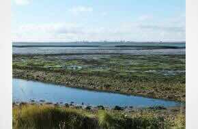 Law firm, Womble Bond Dickinson,  imposes £300 flight levy on staff to fund oyster beds