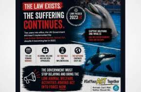 Article: Still no action on animal cruelty tourism