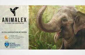 Announcement: Animalex Your New Global Animal Law Hub