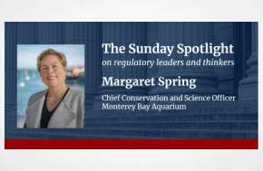 Reforming Global Plastics Regulation Cameron Kay