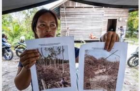 Indonesia: Environmentalists, Indigenous Leaders Unjustly Prosecuted