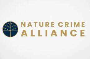Newsletter: Alliance convenes information exchange and training session on using geospatial monitoring to fight forest crime