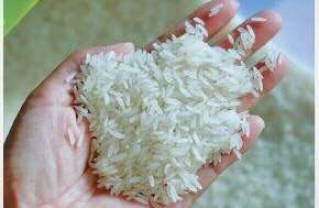 Who owns basmati? Nepal enters global battle over prized grain