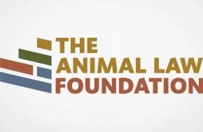 AUGUST NEWSLETTER: Pain at the Time of Killing - Food Chain Misinformation - Putting Animals Back into the Animal Welfare Act