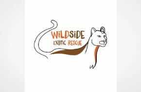 UK: Calls for review of 'outdated' exotic animals law