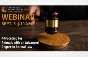 Elevate Your Advocacy with Our Animal Law Advanced Degree Webinar
