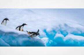 UK Law Soc Gazette - Review: Polar Law - An authoritative guide to legal issues shaping the Arctic and Antarctic